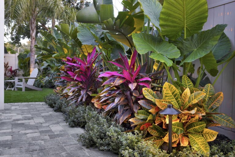 Colorful tropical plants and garden lighting in a landscaped yard.